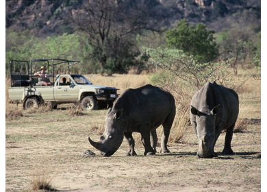 Matobo National Park safari