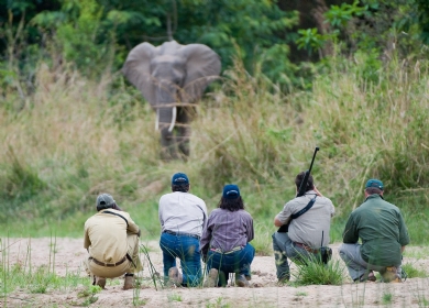 Nyerere National Park (Selous Game Reserve) safari